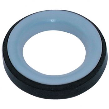 PTFE Seals